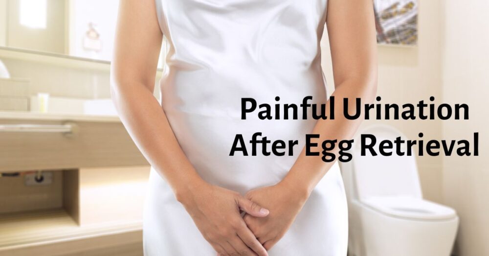 Painful Urination After Egg Retrieval Identinfying, Treating, & Preventing