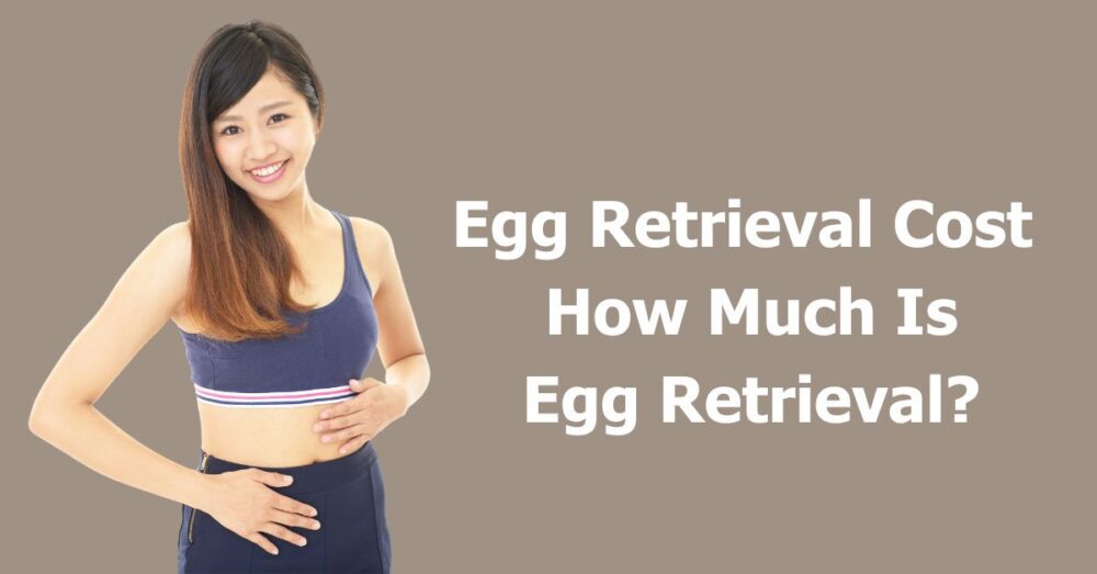 Egg Retrieval Cost By State How Much Is Egg Retrieval In US.? (2023)