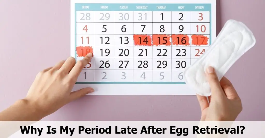 Period Late After Egg Retrieval