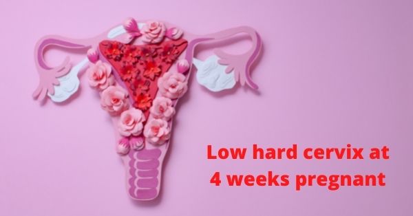 Low Hard Cervix at 4 Weeks Pregnant (featured)