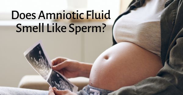 Does Amniotic Fluid Smell Like Sperm_