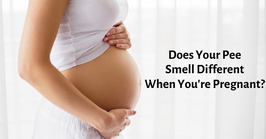 Does Your Pee Smell In Early Pregnancy