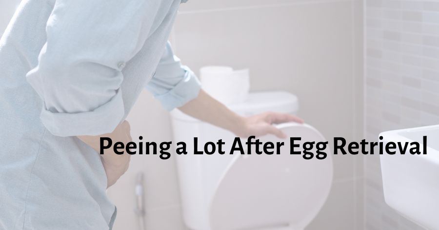 Peeing a Lot After Egg Retrieval