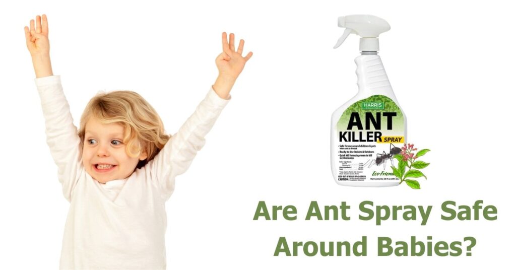 Are Ant Spray Safe Around Babies