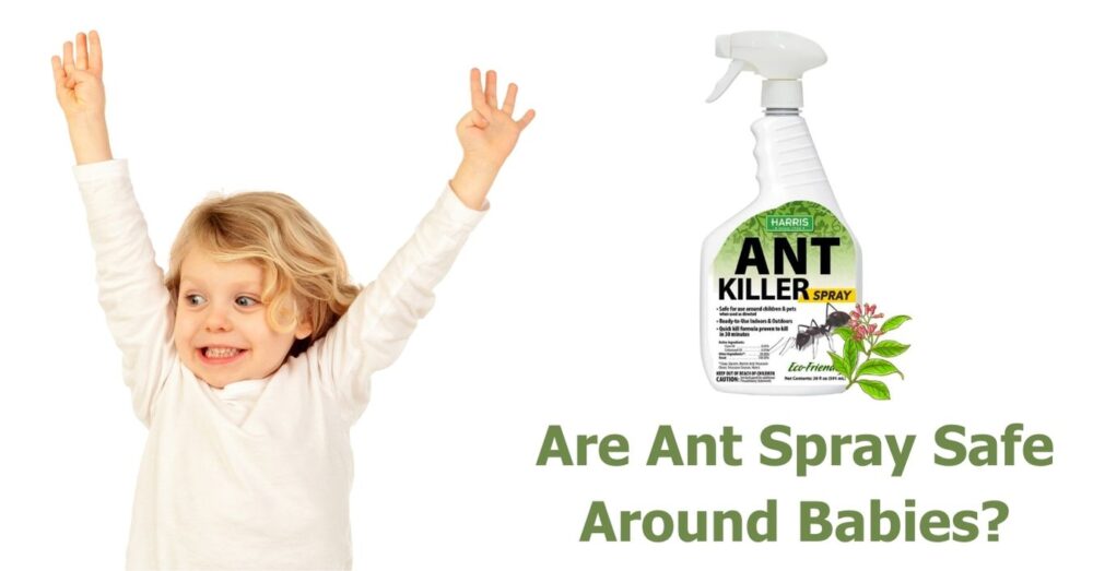 Tiny Feet, Tiny Pests Are Ant Spray Safe Around Babies? From a Mom