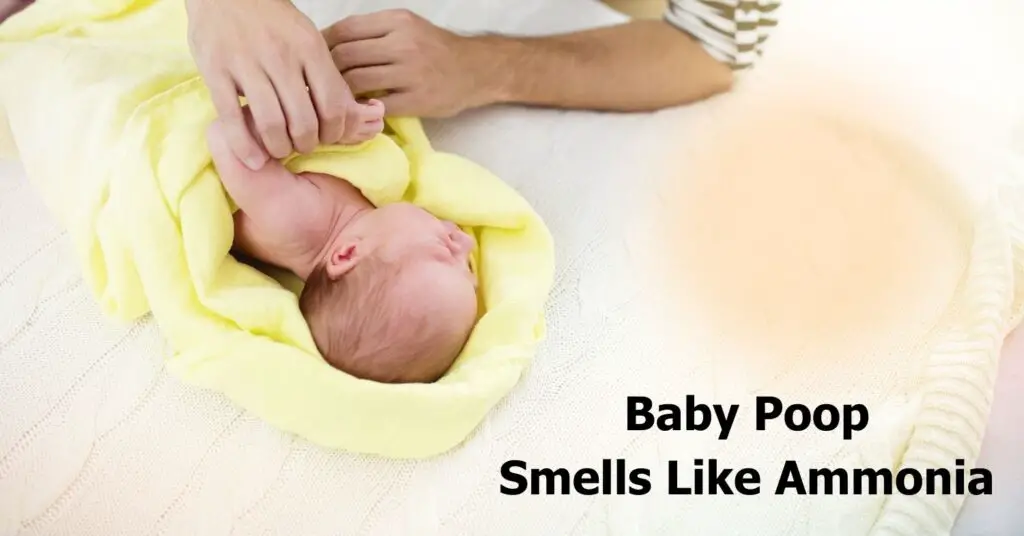 Baby Poop Smells Like Ammonia