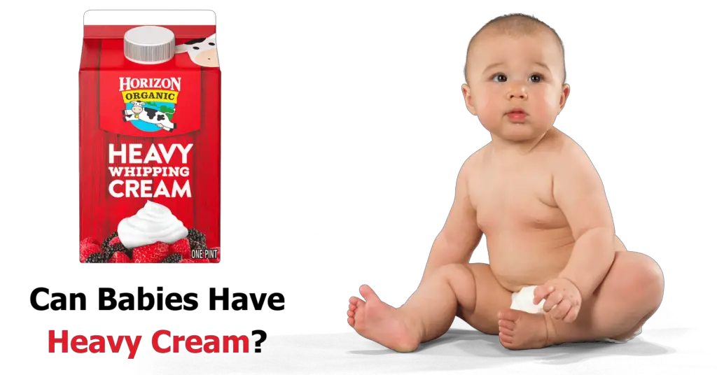 Can Babies Have Heavy Cream