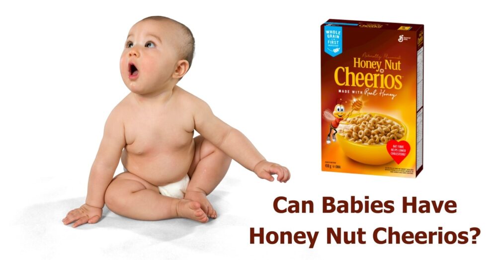 Can Babies Have Honey Nut Cheerios? Yes They Can! (But...)