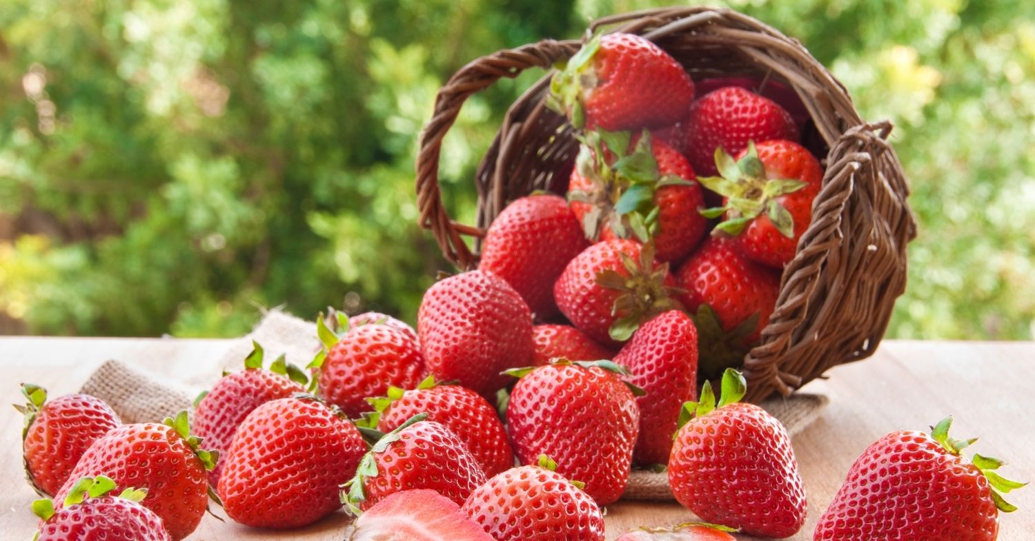 Can Strawberries Cause Rash In Babies