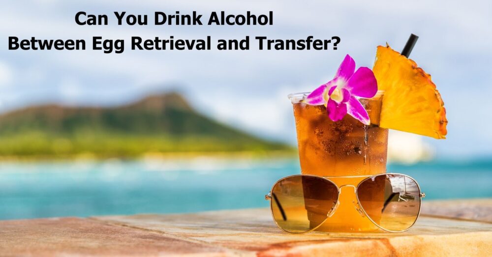 Can You Drink Alcohol Between Egg Retrieval And Transfer?