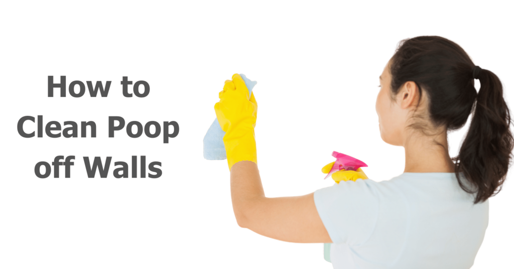 How to Clean Poop off Walls