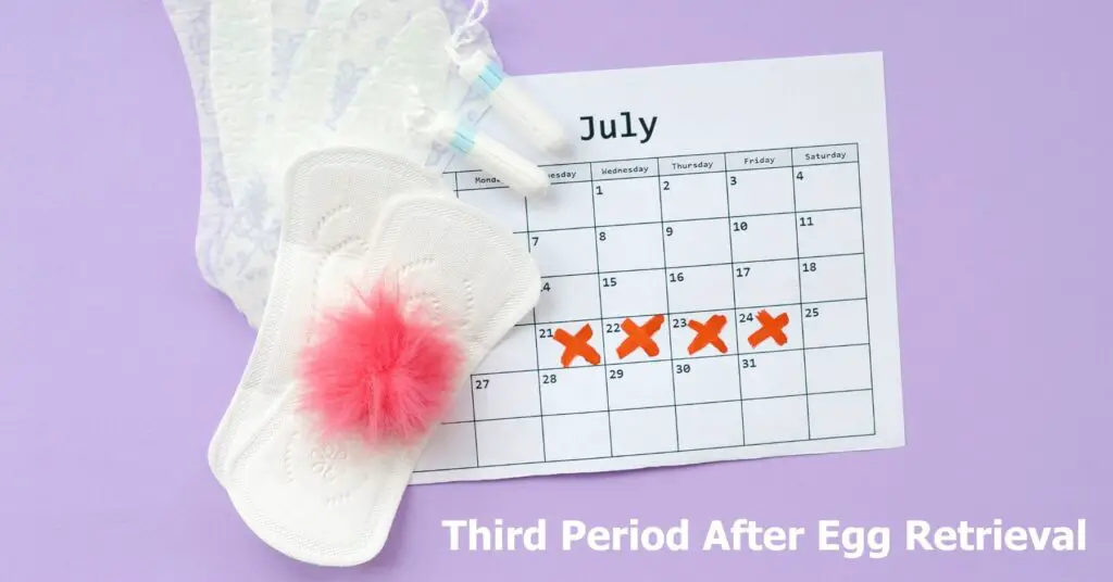 Science Behind the Third Period After Egg Retrieval 🌡️ - What Changes?