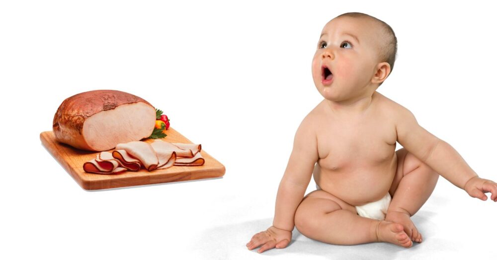 Bites and Bytes Can Babies Eat Deli Turkey? From a Mom