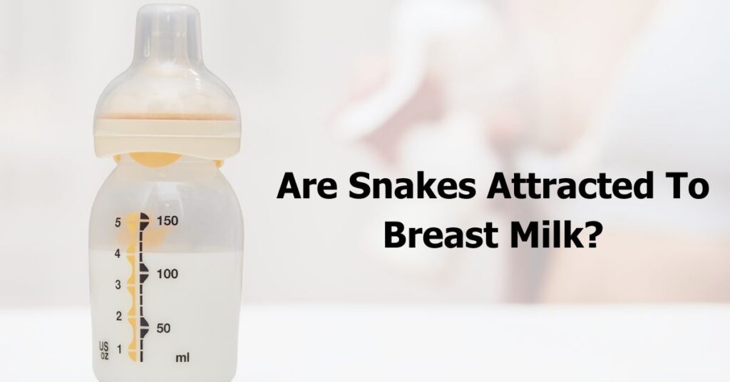 Are Snakes Attracted To Breast Milk