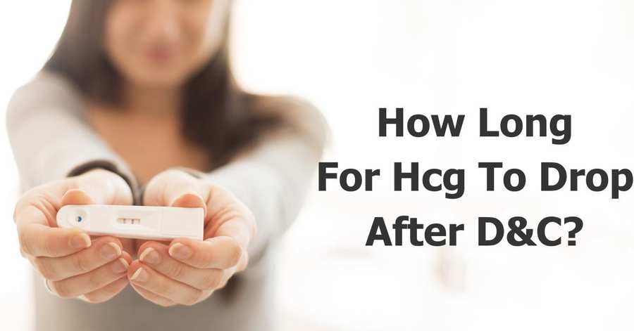 how-long-for-hcg-to-drop-after-d-c-what-they-don-t-tell-you