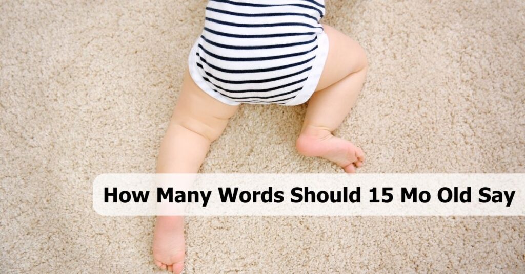 How Many Words Should 15 Mo Old Say