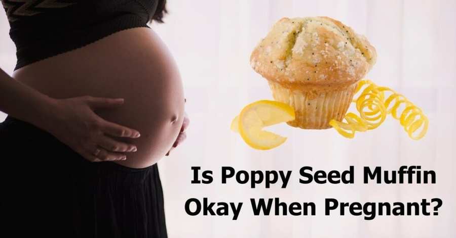 Is Poppy Seed Muffin Okay When Pregnant