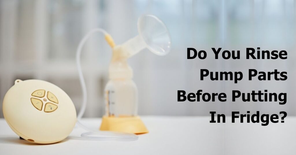 Do You Rinse Pump Parts Before Putting In Fridge