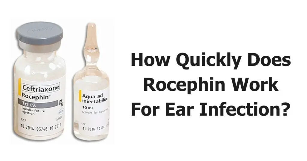 How Quickly Does Rocephin Work For Ear Infection