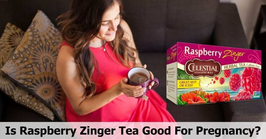 Is Raspberry Zinger Tea Good For Pregnancy