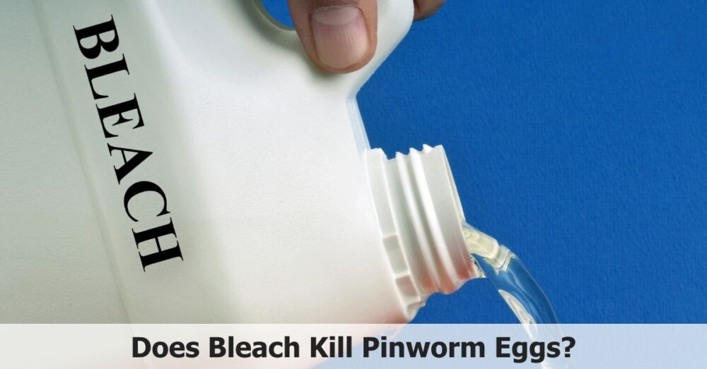 Does Bleach Kill Pinworm Eggs? Power of Bleach 🥚