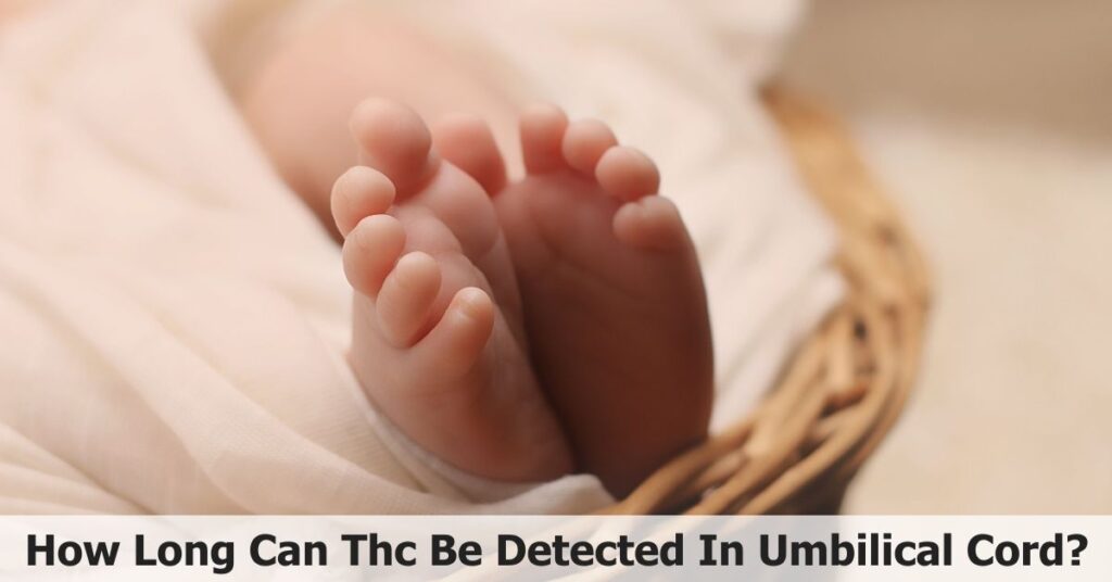 How Long Can Thc Be Detected In Umbilical Cord