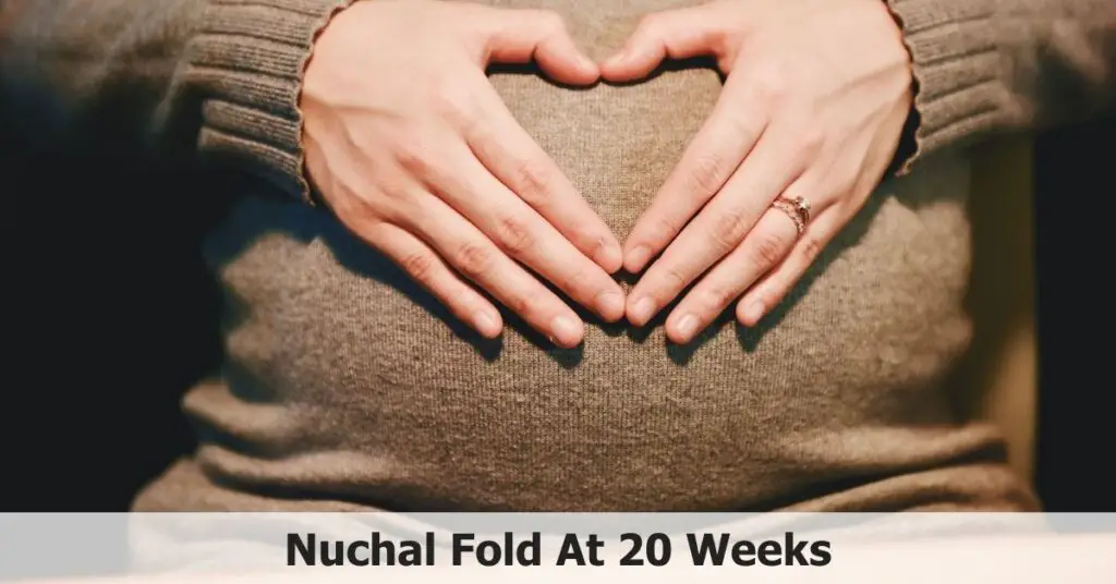 Nuchal Fold At 20 Weeks