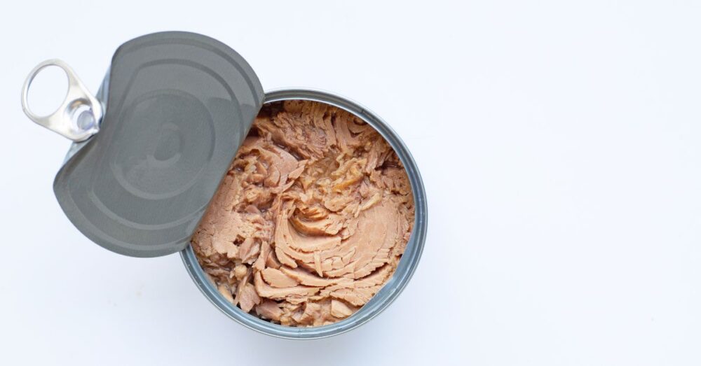 Can You Eat Canned Tuna Fish When Pregnant? The Benefits!