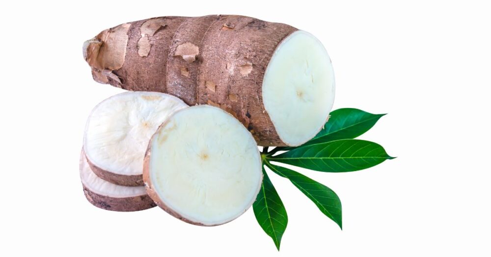 What Is Yucca Root? Nature's Wonder's Benefits & Uses