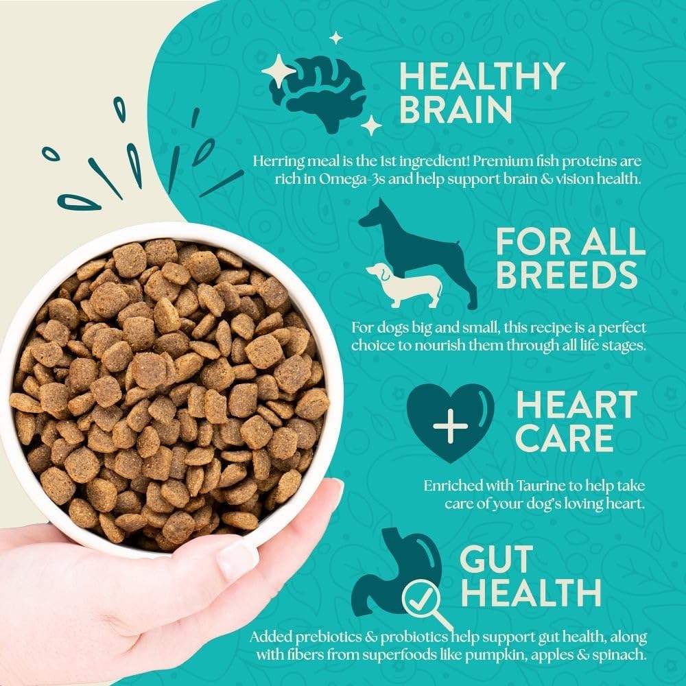 Earthborn Dog Food Review Nutritious, EcoFriendly Choice