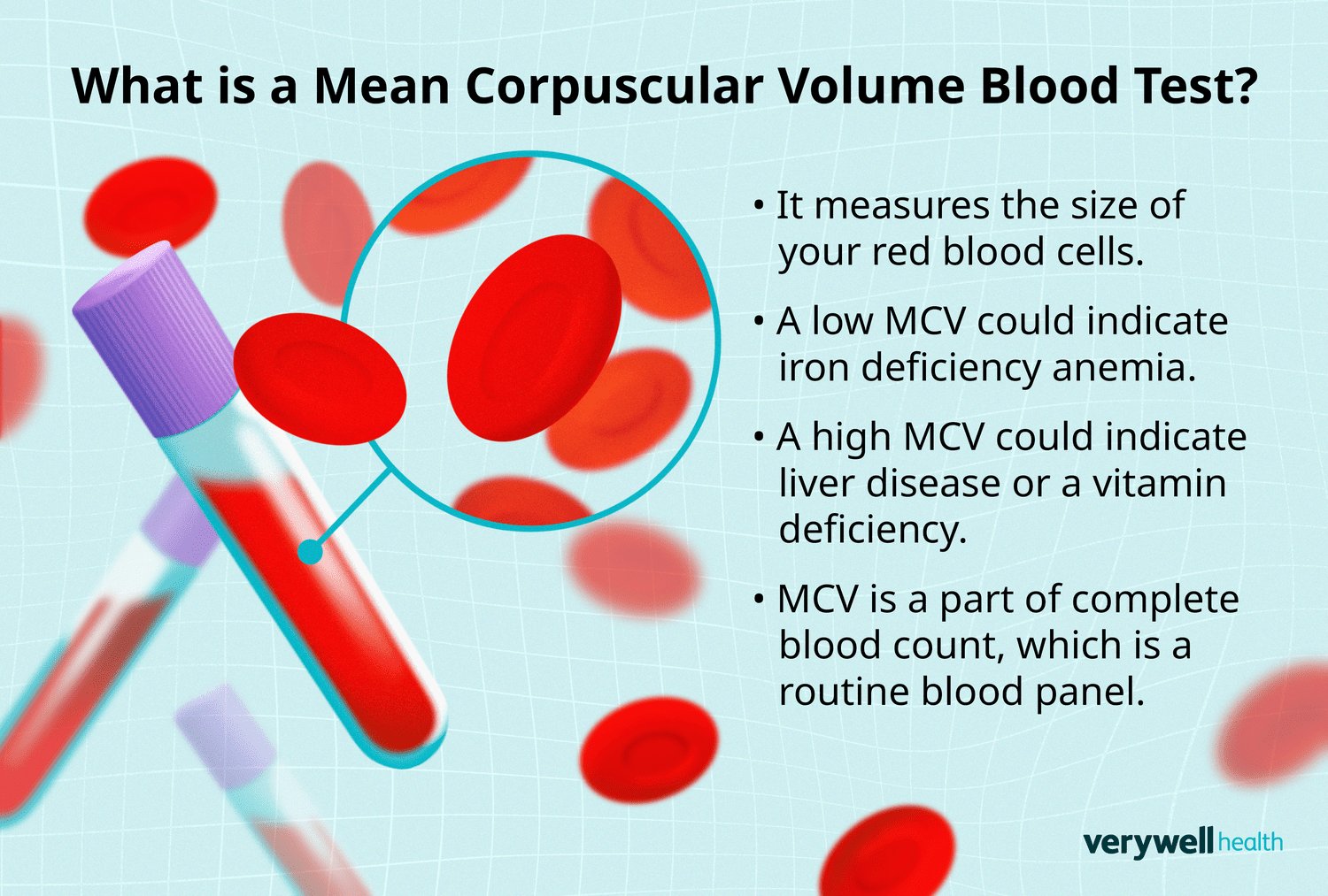 mean-corpuscular-hemoglobin-mch-the-blood-project